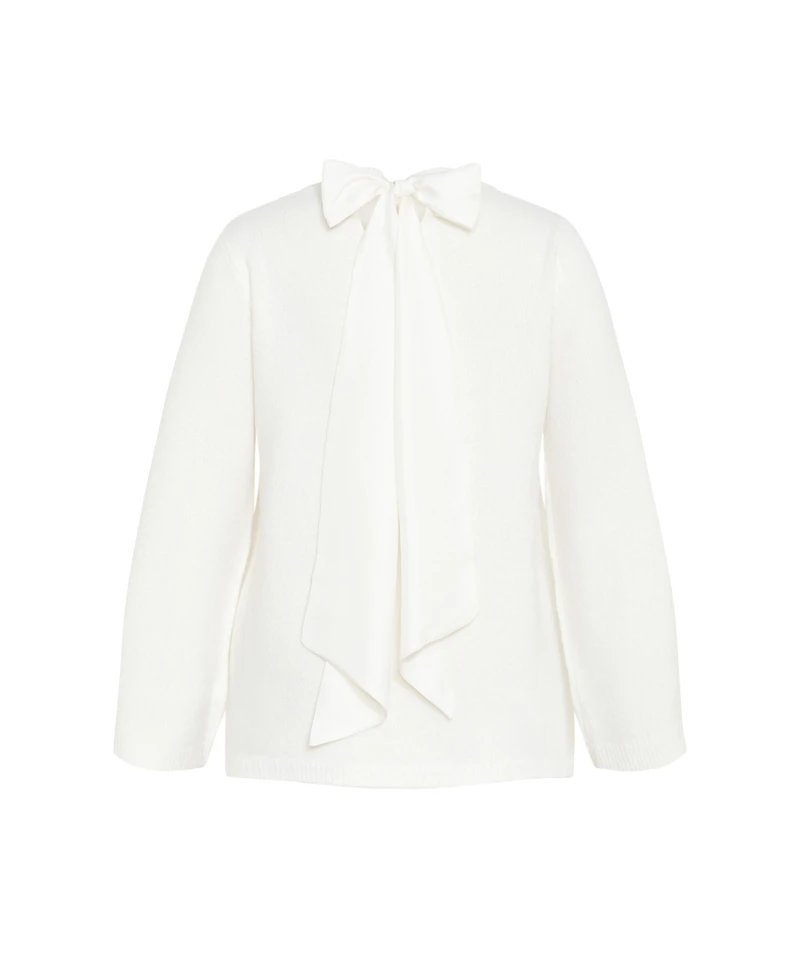 Plus Size Bow Back Sweater