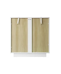 Storage Cabinet with Acrylic Door for Living Room 2 Door Storage Cabinet Sideboard Cabinet Entryway Cabinet