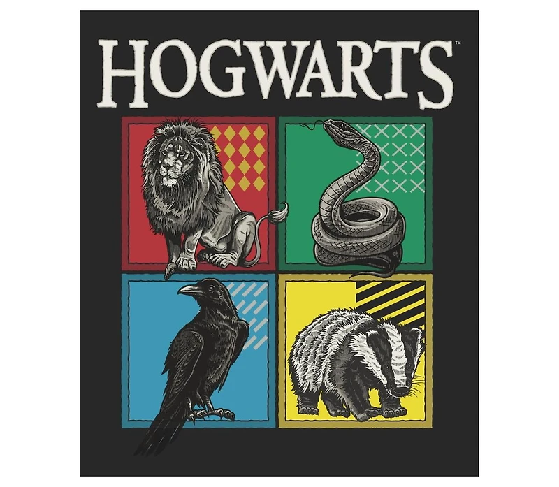 Harry Potter Big & Tall Hogwarts House Emblems Black Graphic Tee-4XL
