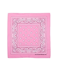 Bioworld Lightweight Multicolored 22"x22" 48-Pack Bandana Set