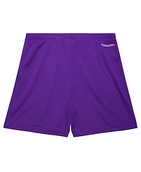 Mitchell & Ness Men's Purple Toronto Raptors Hardwood Classics Gameday Mesh Shorts