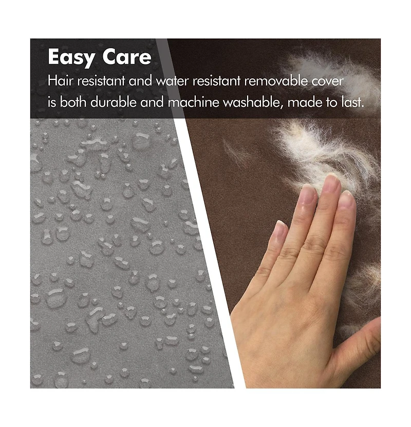 Pet Couch with Solid Memory Foam