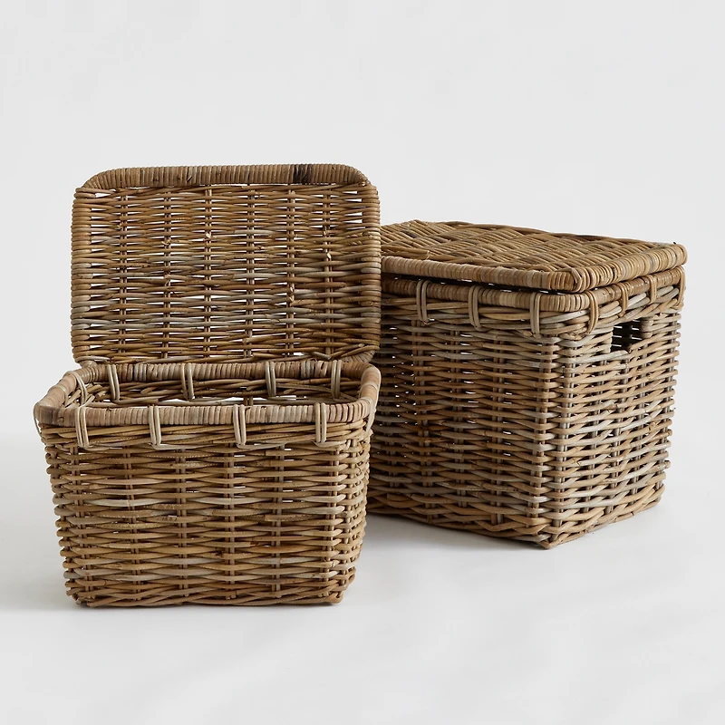 Ruthie Storage Trunks Set of 2