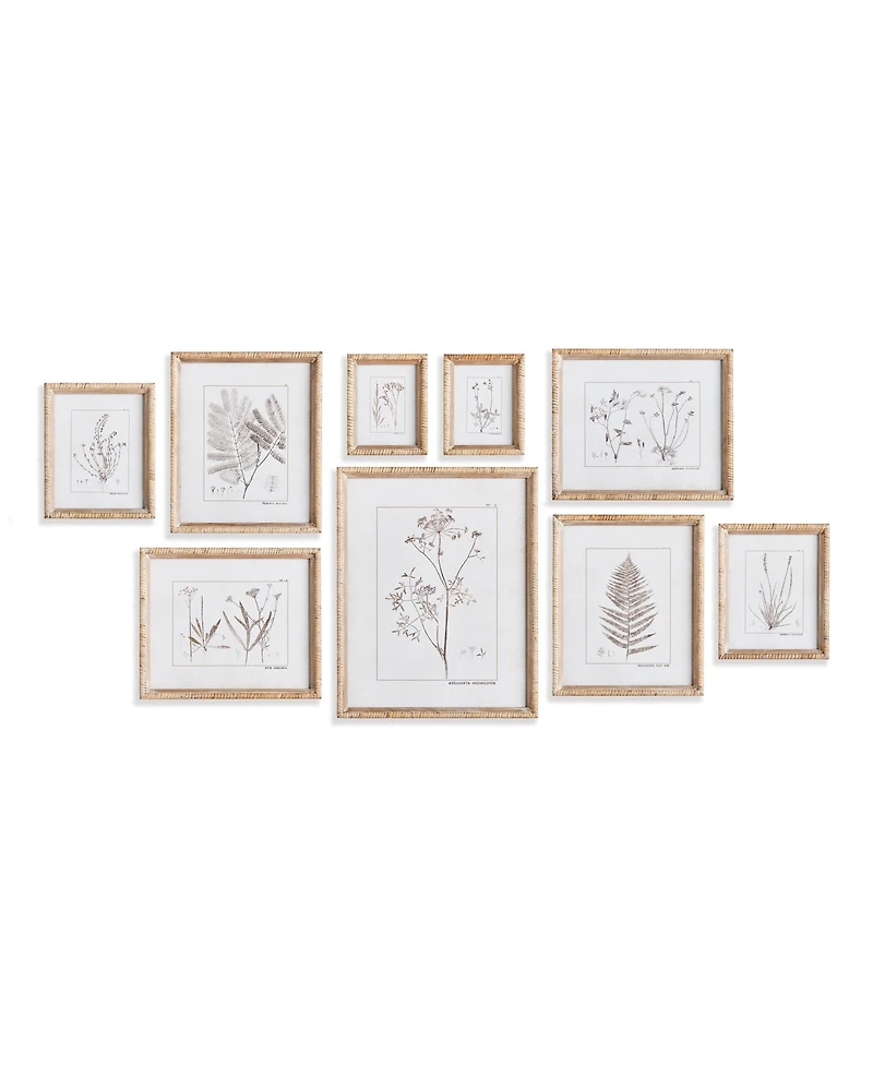 15.75"W x 1"D x 19.75"H and 11.75 x 1 x 14 and 8.5 x 1 x 10.5 and 6.25 x 1 x 7.75 Botanical Study In Sepia Framed Wall Art Set of 9