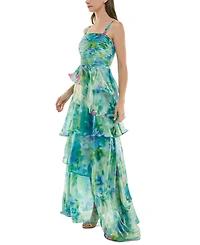Taylor Women's Pleated-Bodice Tiered Chiffon Gown