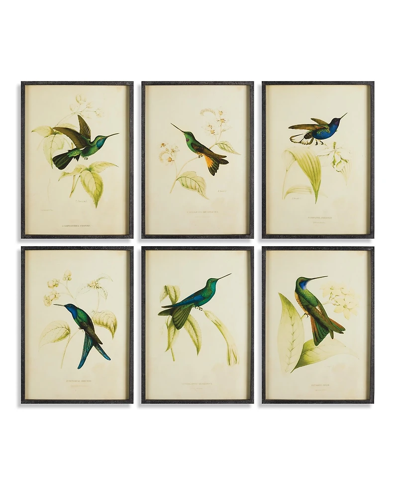 Hummingbird Prints Set of 6