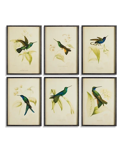 Hummingbird Prints Set of 6