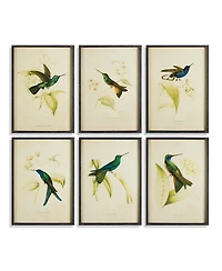 Hummingbird Prints Set of 6