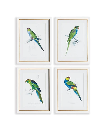 Colorful Parrots Prints St/4