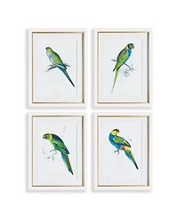 Colorful Parrots Prints St/4