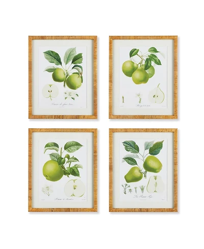 Fruit Study Set of 4