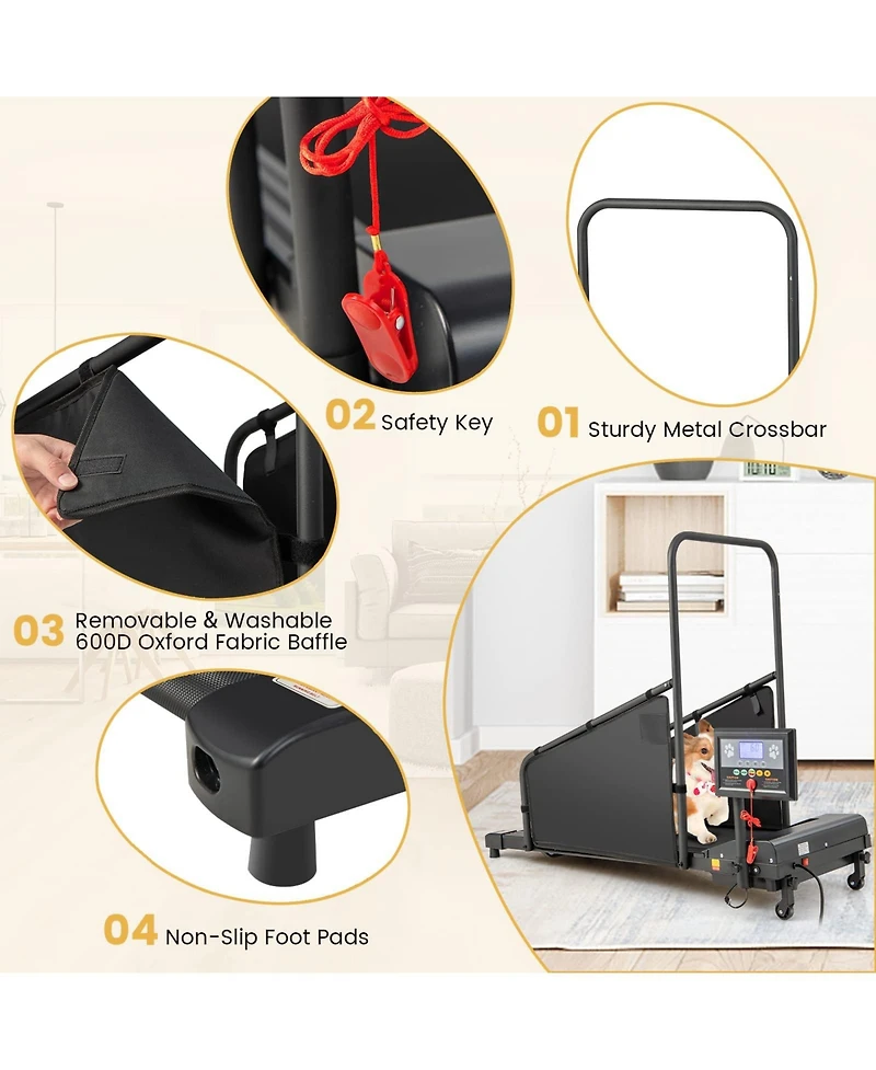 Indoor Pet Exercise Equipment with Remote Control