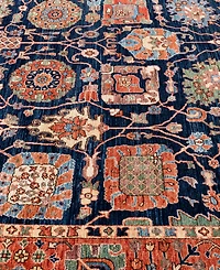 Adorn Hand Woven Rugs Serapi M1945 9'x11'8'' Area Rug