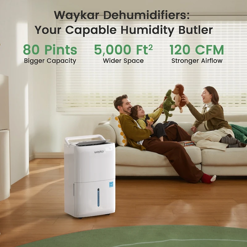 Waykar EnergyStar Dehumidifier for Home & Basement with Drain Hose And Water Tank