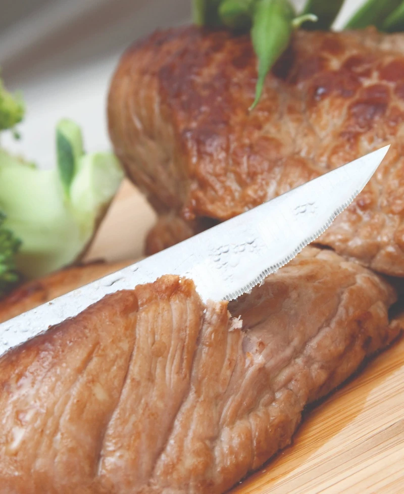 BergHOFF DiNA Matrix 6-Piece Steak Knife Set