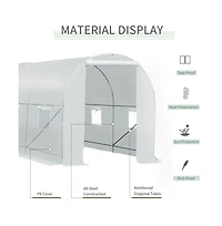 Walk-In Tunnel Greenhouse for Gardening and Plant Protection with Spacious Design