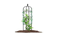 Garden Obelisk Trellis for Climbing Plants and Elegant Outdoor Decor