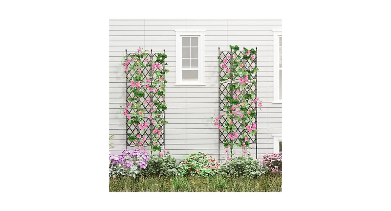 3-Pack Outdoor Plant Support Frame for Raised Garden Bed