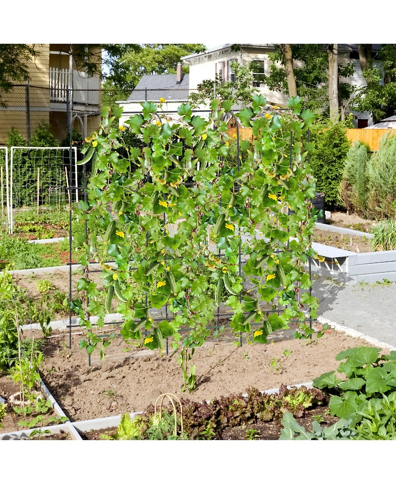 U-Shaped Tall Garden Arched Trellis for Climbing Plants