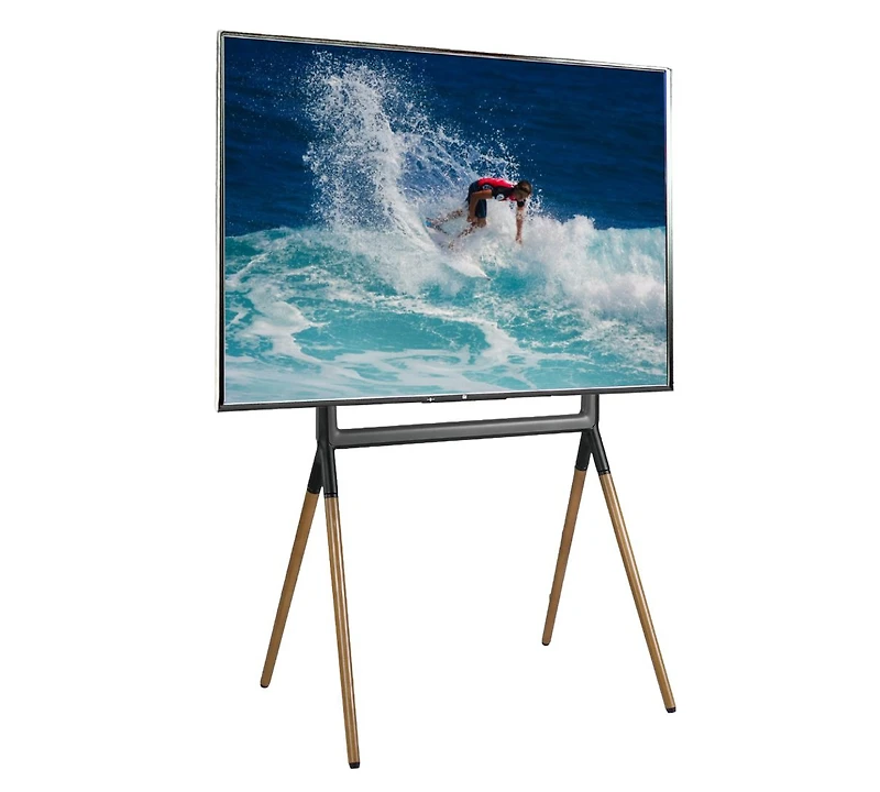ProMounts Premium Easel Tv Stand Mount for 42"-84" TVs and Holds Up to 99 Lbs