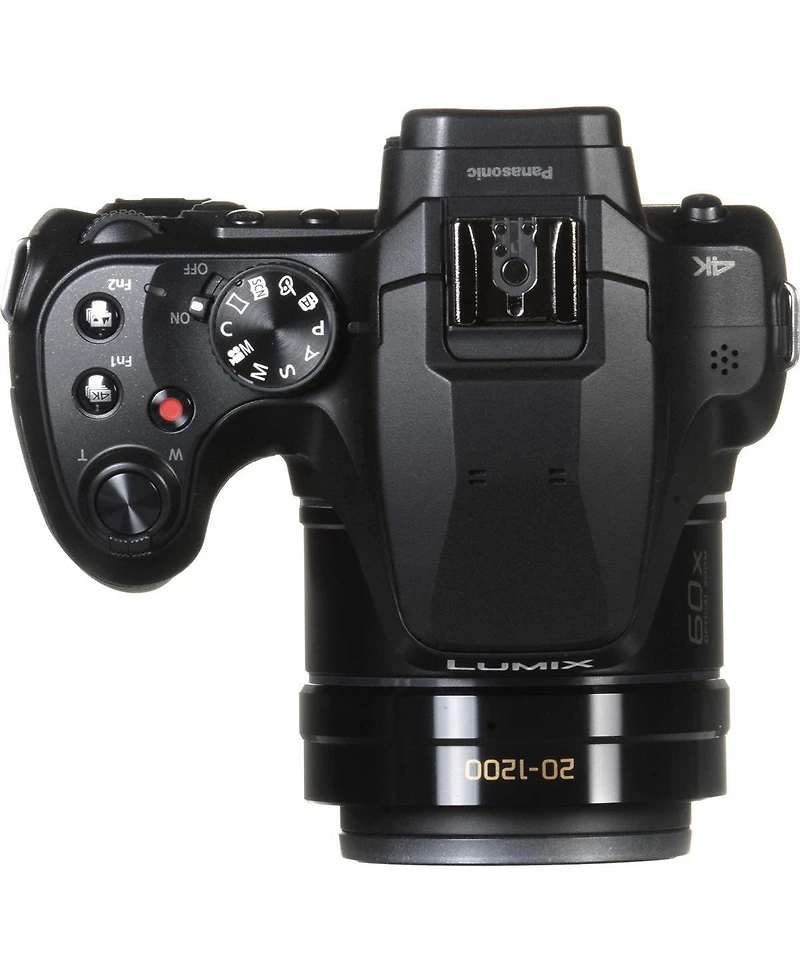 Panasonic Lumix FZ80D Point & Shoot Digital Camera, Bundle with 64GB Sd Card, Bag, Extra Battery, Flexible Tripod, Mini Led Light, Filter Kit,