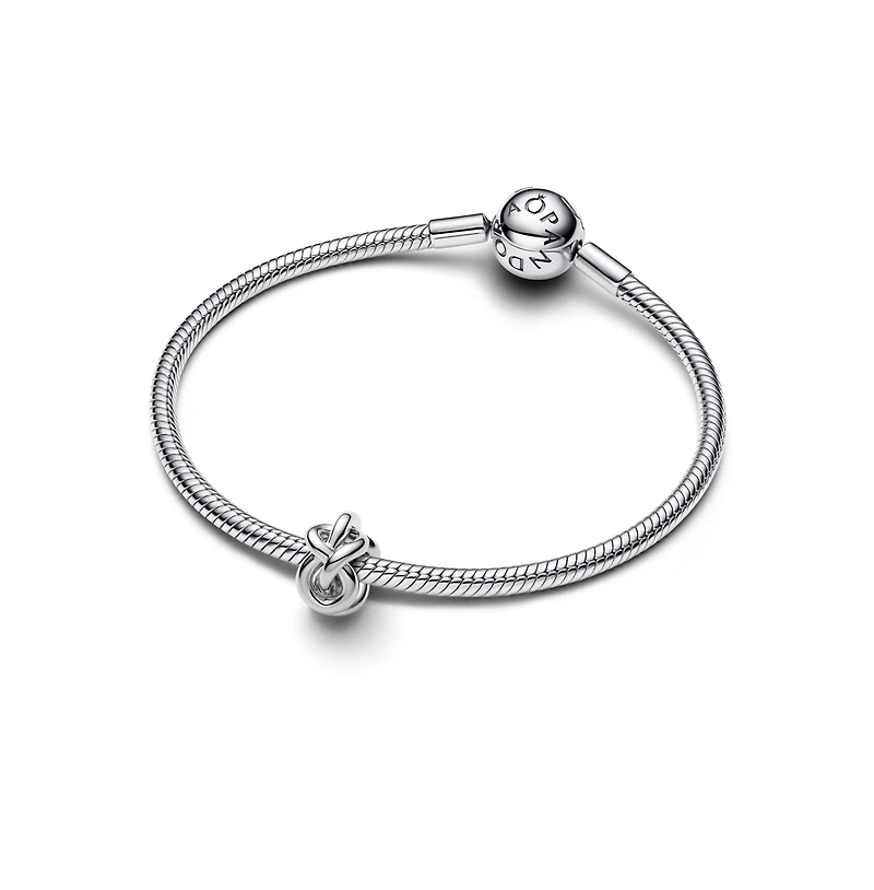 Pandora Infinity Knot Charms