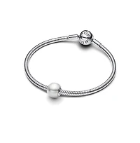 Pandora Round White Lacquered Sterling Silver Charms