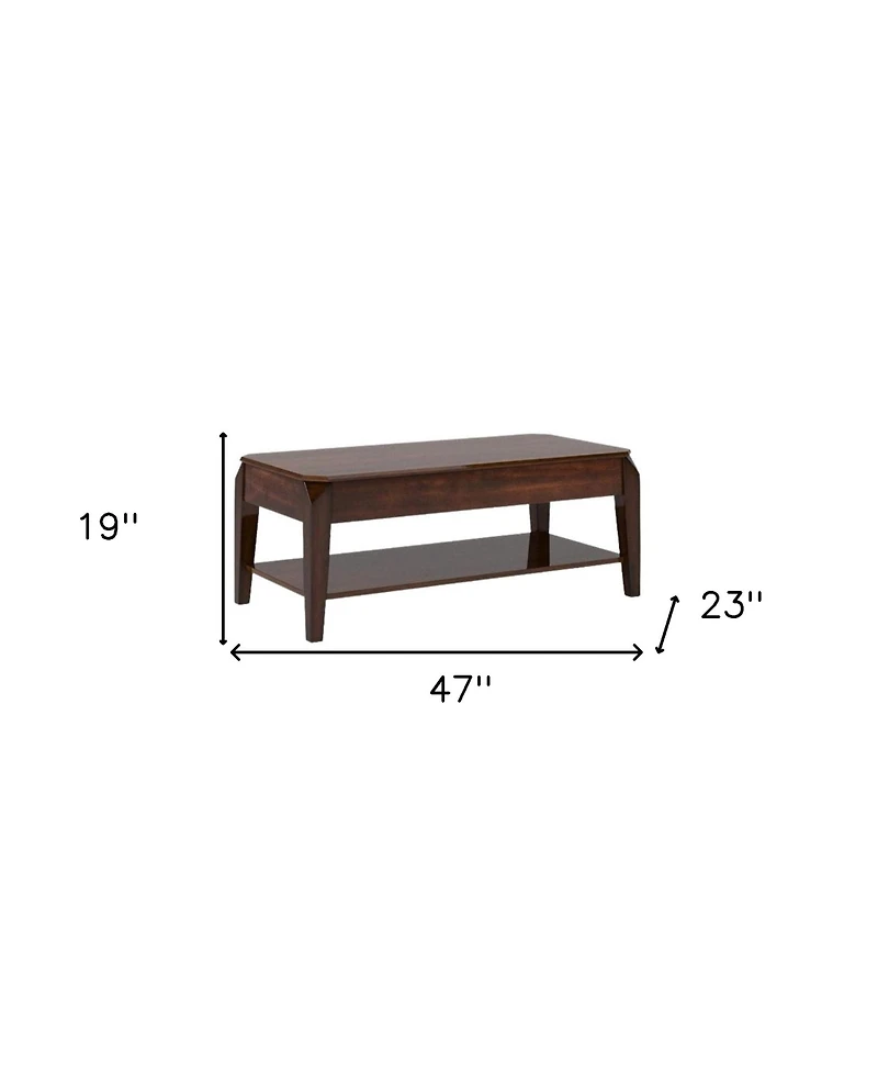 Modern Lift-Top Coffee Table with Storage Shelf and Hidden Compartment
