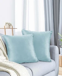 Nestl Elegant Velvet Removeable Cover 2-Pack Decorative Pillows