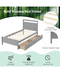 Twin Wooden Bed Frame with 2 Drawers for Teens and Adults