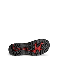 Ecco Men's Offroad Waterproof Low Trail Sneakers