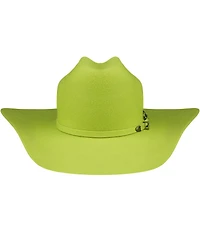 Renegade Men's Punchy Western Cowboy Hat