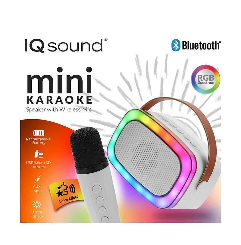 Mini Bluetooth Karaoke Portable Speaker with Wireless Mic