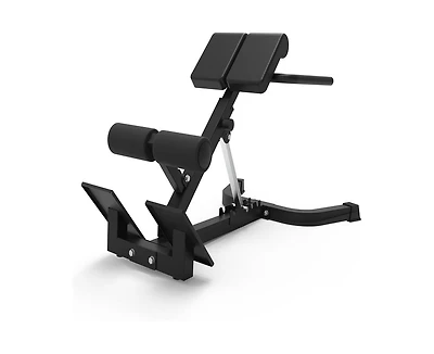 Roman Chair Back Extension, Dual Adjustable Back Extension Bench for Home Gym, Adjustable Back Exercise Machine Weight Capacity 330 Lbs, for Core Work