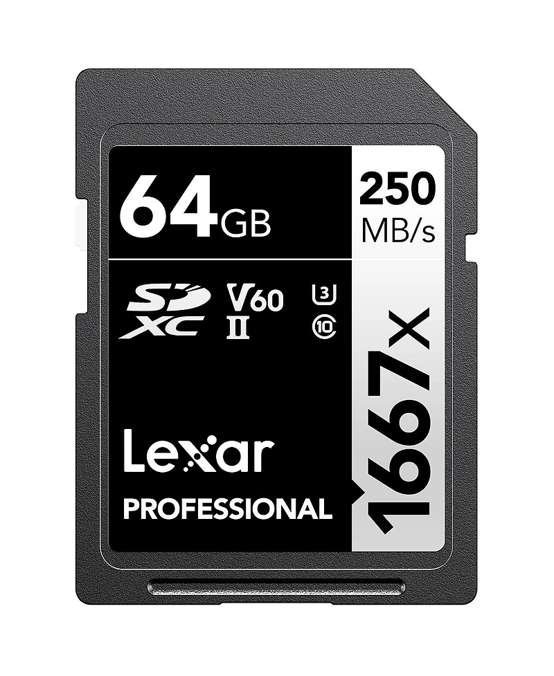 Panasonic Lumix S9 Mirrorless Camera, Jet Black, Bundle with Silver Series Professional 1667x 64GB Uhs-ii Sdxc Memory Card, Alpine 120 Multi-Device Sh