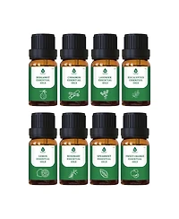 100% Pure Natural Essence Essential Oils Collection – Aromatherapy at Its Finest!