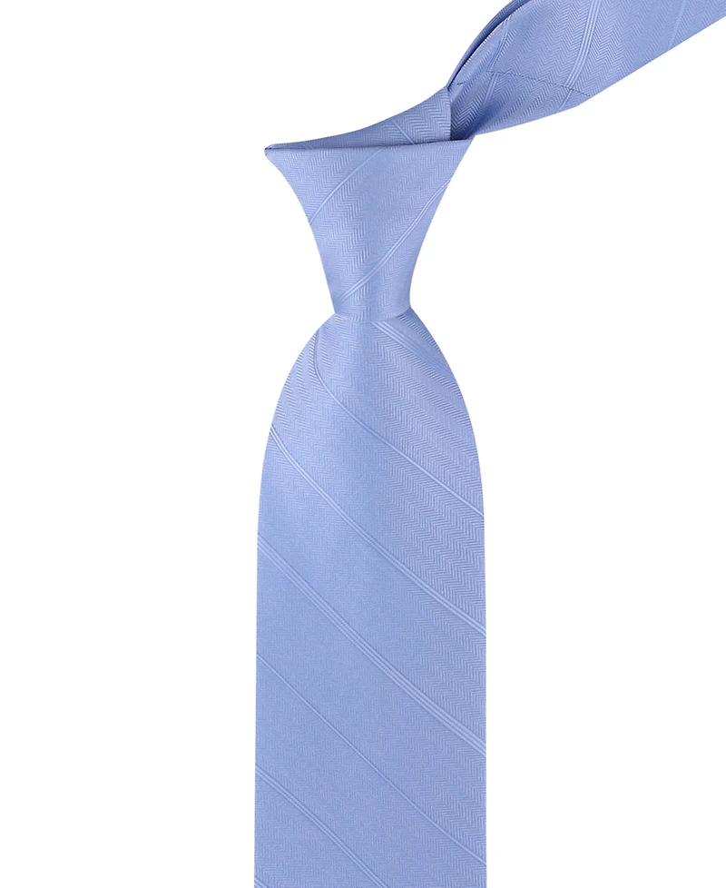 Calvin Klein Men's Randi Stripe Tie