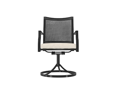 Casainc Outdoor Iron Frame Swivel Dining Chair with Cushions (Set of 2)