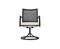 Casainc Outdoor Iron Frame Swivel Dining Chair with Cushions (Set of 2)
