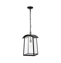 Adalai 10" Outdoor Pendant