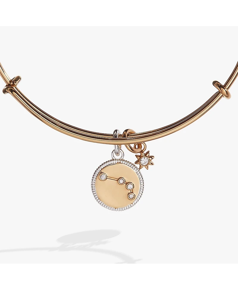 Zodiac Bangle Bracelet Aries