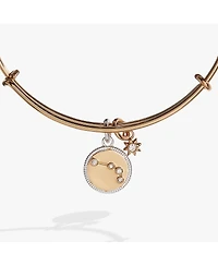 Zodiac Bangle Bracelet Aries