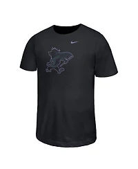 Nike Big Boys and Girls Black Kansas State Wildcats Legend Color Pop Performance T-Shirt