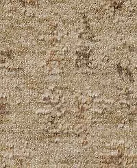 Loloi Willa Wia-08 5'3x7'6" Area Rug