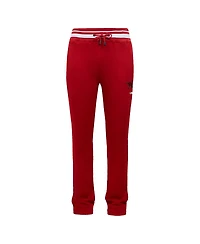 Pro Standard Men's Cardinal Arkansas Razorbacks Script Tail Fleece Sweatpants