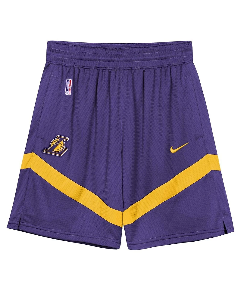 Nike Preschool 2-Piece Purple Los Angeles Lakers Mesh Tank Top and Shorts Set