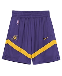 Nike Preschool 2-Piece Purple Los Angeles Lakers Mesh Tank Top and Shorts Set