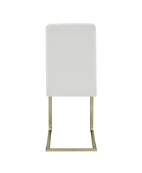 Set of 2 Modern Dining Chairs for Kitchen Table or Home Seating