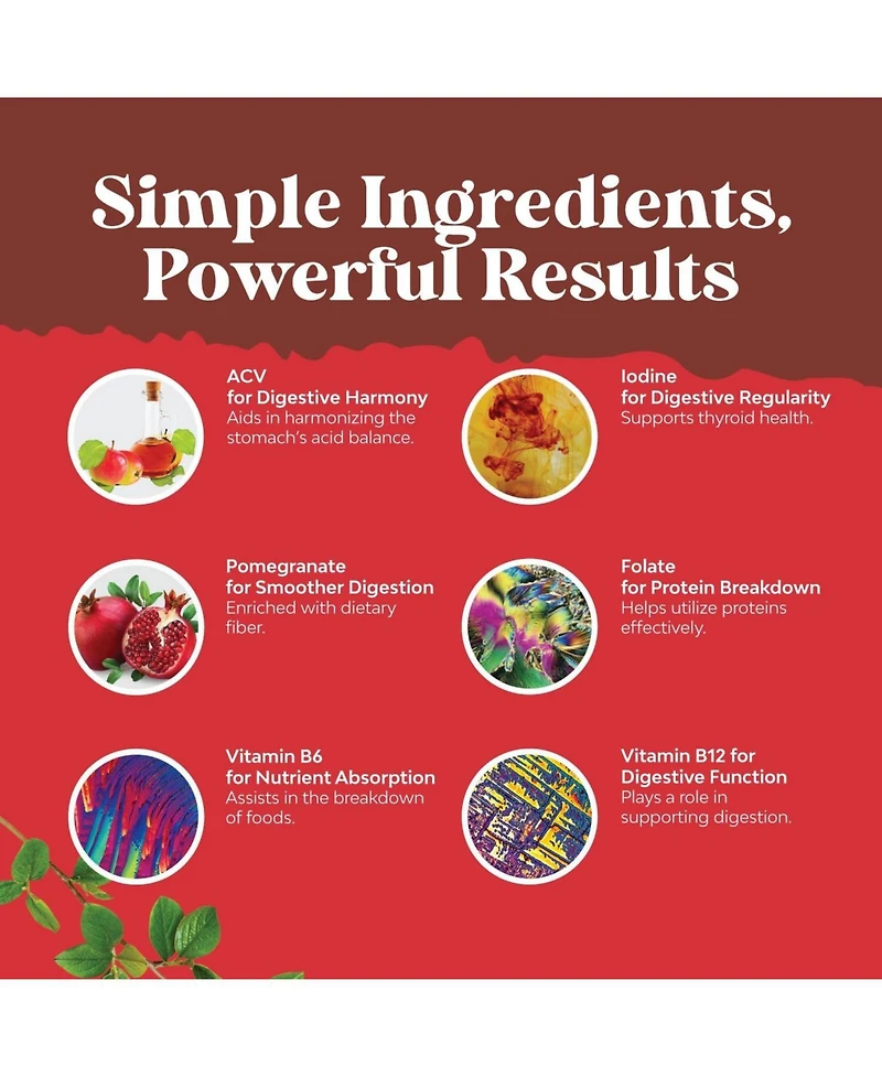 Apple Cider Vinegar Gummies with The Mother | 60ct