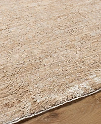 Livabliss Masterpiece Mpc-2316 9'x12'2" Area Rug